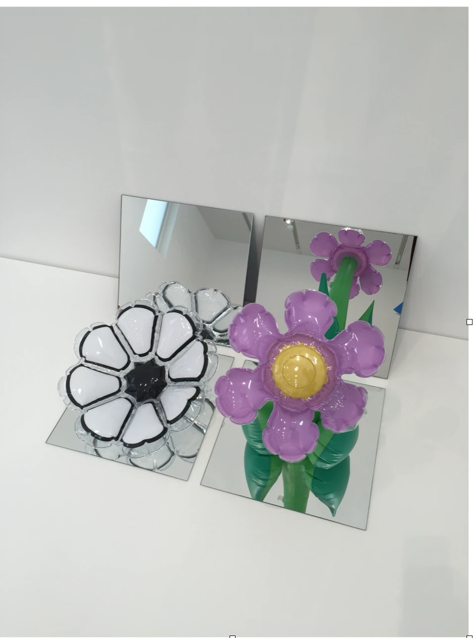 White and purple inflatable flowers displayed on mirrors